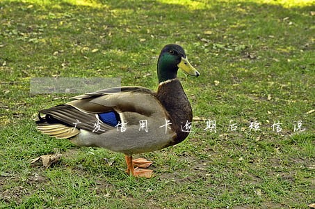 广发信用卡逾期后短信说上门