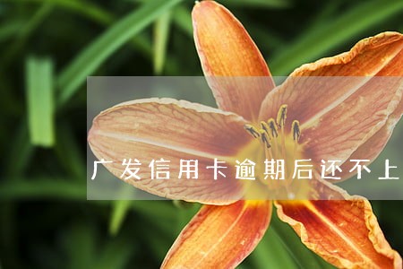 广发信用卡逾期后还不上最低还款