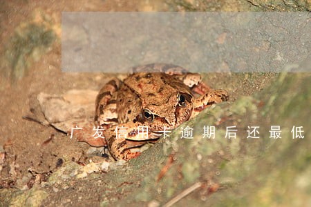 广发信用卡逾期后还最低可以吗 广发信用卡逾期后还最低可以吗