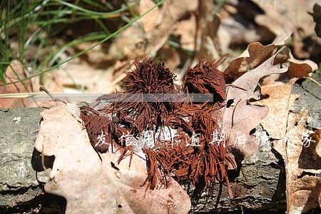 广发信用卡逾期后骚扰家人 广发信用卡逾期后骚扰家人