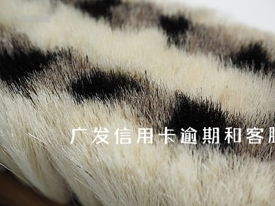 广发信用卡逾期和客服沟通 广发信用卡逾期和客服沟通