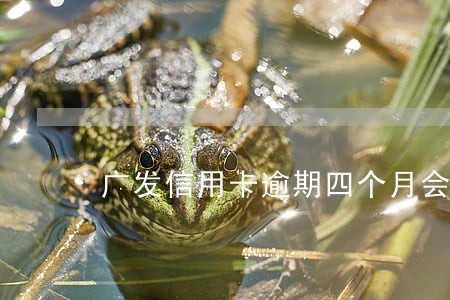 广发信用卡逾期四个月会判刑吗