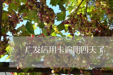 广发信用卡逾期四天了 广发信用卡逾期四天了