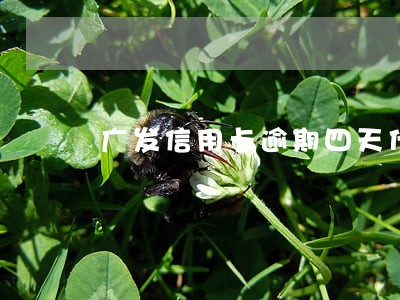 广发信用卡逾期四天什么情况 广发信用卡逾期四天什么情况
