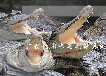 广发信用卡逾期四月被催缴