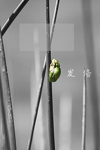 广发信用卡逾期多久上征信吗 广发信用卡逾期多久上征信吗