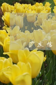 广发信用卡逾期多久不能用 广发信用卡逾期多久不能用