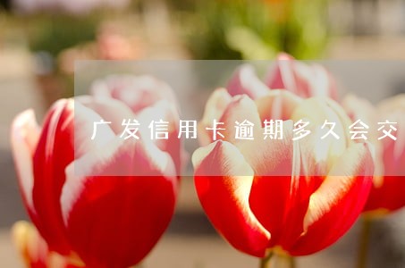 广发信用卡逾期多久会交给第三方 广发信用卡逾期多久会交给第三方