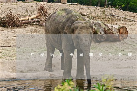 广发信用卡逾期多久会被停卡 广发信用卡逾期多久会被停卡