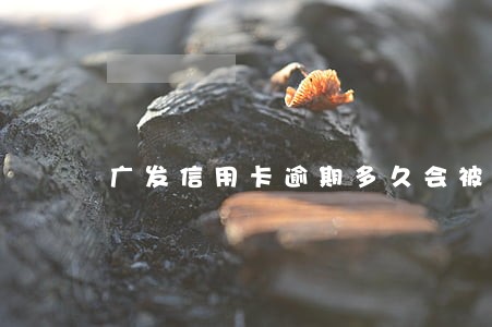 广发信用卡逾期多久会被止付 广发信用卡逾期多久会被止付