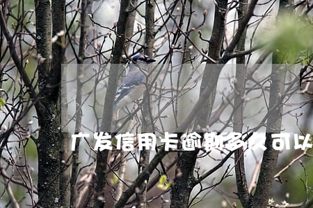 广发信用卡逾期多久可以协商 广发信用卡逾期多久可以协商