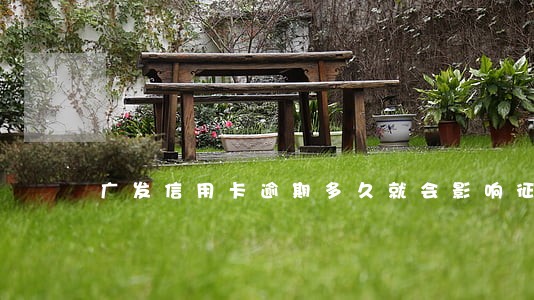 广发信用卡逾期多久就会影响征信 广发信用卡逾期多久就会影响征信