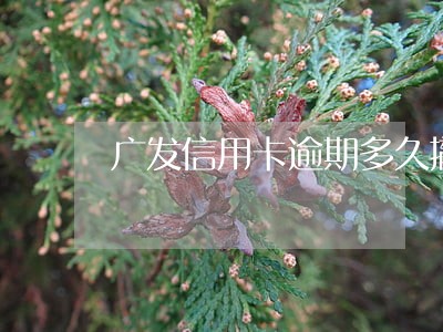 广发信用卡逾期多久撤销