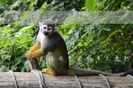 广发信用卡逾期多久更新 广发信用卡逾期多久更新
