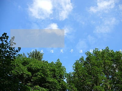 广发信用卡逾期多久清征信 广发信用卡逾期多久清征信