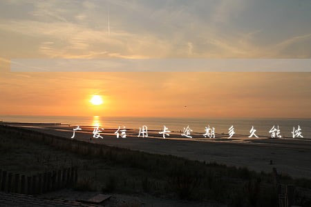 广发信用卡逾期多久能恢复征信 广发信用卡逾期多久能恢复征信