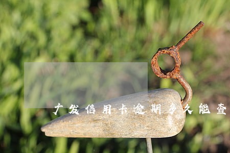 广发信用卡逾期多久能查到 广发信用卡逾期多久能查到