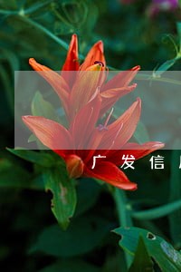 广发信用卡逾期多久贷不了款