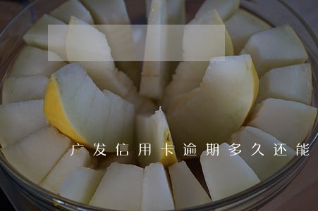 广发信用卡逾期多久还能用卡 广发信用卡逾期多久还能用卡