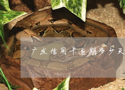 广发信用卡逾期多少天会影响征信