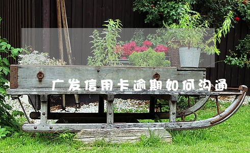 广发信用卡逾期如何沟通 广发信用卡逾期如何沟通
