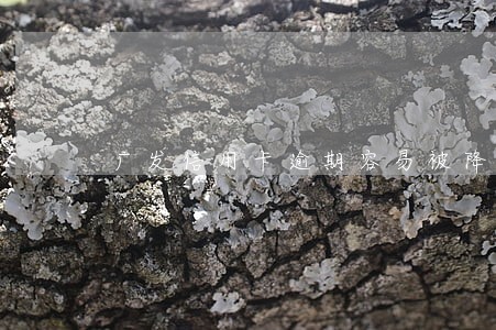 广发信用卡逾期容易被降额吗 广发信用卡逾期容易被降额吗