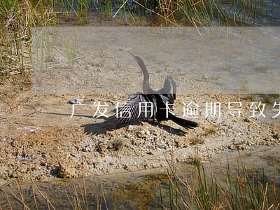 广发信用卡逾期导致失效 广发信用卡逾期导致失效