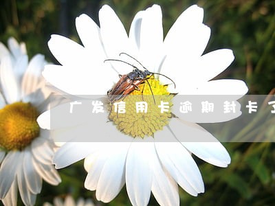 广发信用卡逾期封卡了怎么办 广发信用卡逾期封卡了怎么办