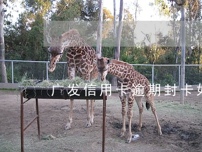 广发信用卡逾期封卡如何解封 广发信用卡逾期封卡如何解封