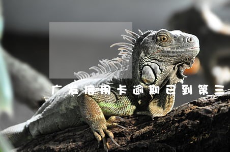 广发信用卡逾期已到第三方 广发信用卡逾期已到第三方