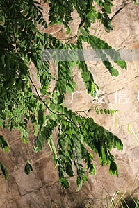 广发信用卡逾期律师打电话 广发信用卡逾期律师打电话