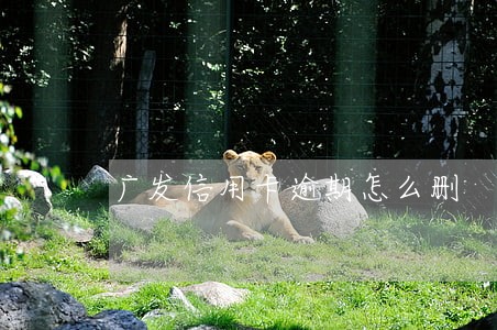 广发信用卡逾期怎么删 广发信用卡逾期怎么删