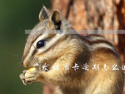 广发信用卡逾期怎么回事 广发信用卡逾期怎么回事