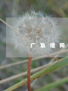 广发信用卡逾期怎么收利息 广发信用卡逾期怎么收利息