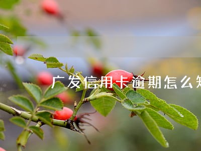 广发信用卡逾期怎么知道