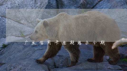 广发信用卡逾期想办分期 广发信用卡逾期想办分期