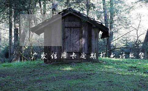 广发信用卡逾期打电话报警 广发信用卡逾期打电话报警