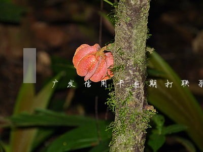 广发信用卡逾期打联系人电话 广发信用卡逾期打联系人电话