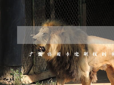 广发信用卡逾期找到单位了