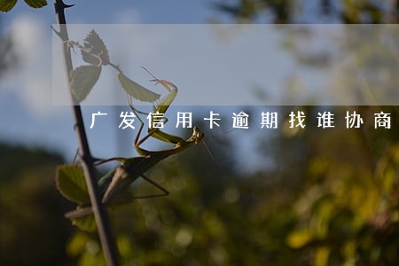 广发信用卡逾期找谁协商