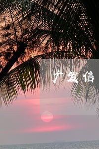 广发信用卡逾期报警立案