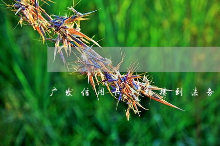广发信用卡逾期接到法务电话 广发信用卡逾期接到法务电话