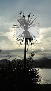 广发信用卡逾期收到传票