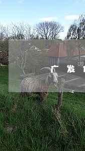 广发信用卡逾期收取费用 广发信用卡逾期收取费用