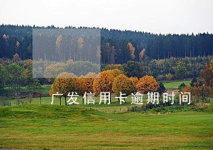 广发信用卡逾期时间 广发信用卡逾期时间