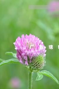 广发信用卡逾期是啥 广发信用卡逾期是啥