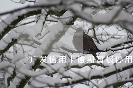 广发信用卡逾期暂被停用6 广发信用卡逾期暂被停用6