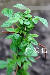 广发信用卡逾期派出所去家 广发信用卡逾期派出所去家