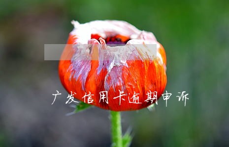 广发信用卡逾期申诉 广发信用卡逾期申诉