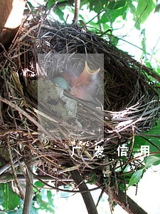 广发信用卡逾期的最新消息